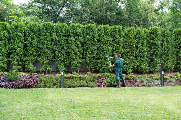 Best Weed Control  in Lusby, MD